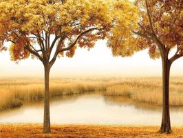 Golden Morning II #IS7213 Golden Morning II #IS7213