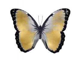 Butterfly in Metallic I #JBC113332
