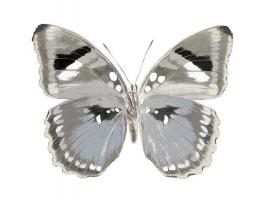 Butterfly in Grey II #JBC113336
