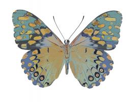 Butterfly in Amethyst II #JBC113338 Butterfly in Amethyst II #JBC113338