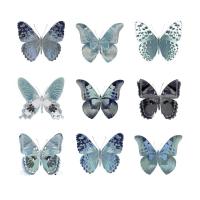 Butterfly Study in Blue II #JBC113350