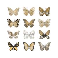 Butterfly Study in Gold III #JBC113353