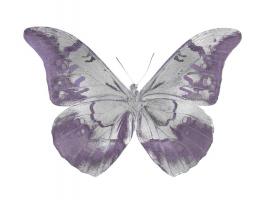 Butterfly in Amethyst I #JBC113355