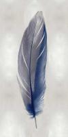 Blue Feather on Silver II #JBC114215