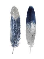 Blue Feather Pair #JBC114217