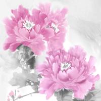 Flower Bloom in Pink II #JES113298 Flower Bloom in Pink II #JES113298