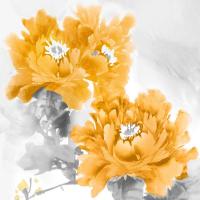 Flower Bloom in Mandarin II #JES113300 Flower Bloom in Mandarin II #JES113300