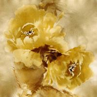 Flower Bloom on Gold II #JES113443