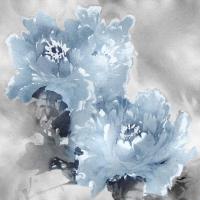 Flower Bloom on Silver I #JES113444 Flower Bloom on Silver I #JES113444