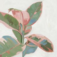 Pink Ficus I #JN438-A Pink Ficus I #JN438-A