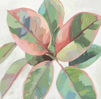 Pink Ficus II #JN439-A Pink Ficus II #JN439-A