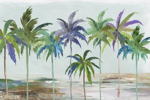 Tropical Dream #JN443-A Tropical Dream #JN443-A