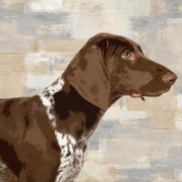 Pointer #KG114640 Pointer #KG114640