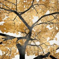 Golden Leaves #KTB111459
