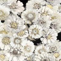 Floral Abundance in Ivory #KTB115120 Floral Abundance in Ivory #KTB115120