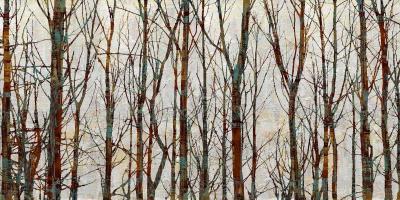 Into the Woods #KWB111791 Into the Woods #KWB111791
