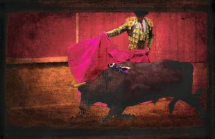 San Miguel, Bullfight #4 #72881