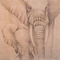 Elefantes en el Papel Quatro #75040