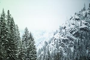 Snowfall in Cascadia II V1 #MAT-0942-ALT-V1