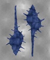 Sea Life - Blue on Silver II #MEL112640 Sea Life - Blue on Silver II #MEL112640