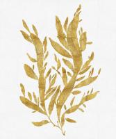 Sea Life - Gold on White IV #MEL112658 Sea Life - Gold on White IV #MEL112658