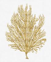 Sea Life - Gold on White V #MEL112659