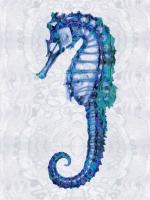 Sea Horse I #MMR112228