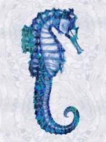 Sea Horse II #MMR112229