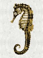 Golden Sea Horse I #MMR112230 Golden Sea Horse I #MMR112230