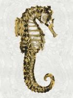 Golden Sea Horse II #MMR112231 Golden Sea Horse II #MMR112231