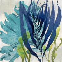 Sea Nature II #MMR112235 Sea Nature II #MMR112235