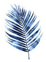 Indigo Palm I #MMR114320