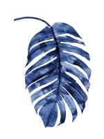 Indigo Palm II #MMR114321