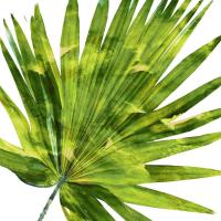 Tropical Palm IV #MMR114339 Tropical Palm IV #MMR114339