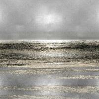 Silver Seascape I #MMW112636