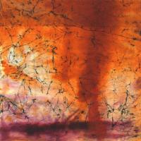 Copper Sky #MOP111140 Copper Sky #MOP111140
