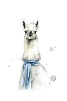 Llama 1 #103027