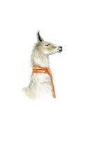 Llama 3 #103029 Llama 3 #103029