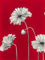 in Bloom C - Recolor #102823 in Bloom C - Recolor #102823
