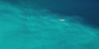 Untitled #92976 Untitled #92976