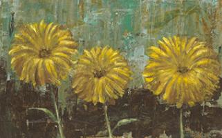 Morning Gold II #OBLA-117 Morning Gold II #OBLA-117
