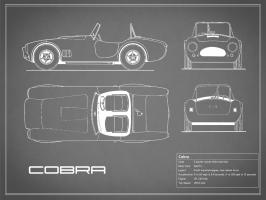 Cobra-Grey #RGN112702