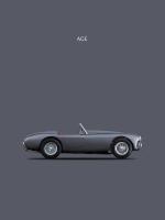 AC Ace 1951 #RGN113070