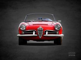 Alfa Giulia 1600 Spider 1964 #RGN114377 Alfa Giulia 1600 Spider 1964 #RGN114377