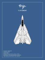 BP F-14-Tomcat #RGN114919