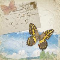 Butterfly Meadow B #87470
