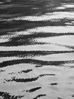 Water ripple #SK113977