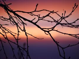 Abstract Sunset #SK113988 Abstract Sunset #SK113988