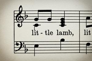 Little Lamb #83615