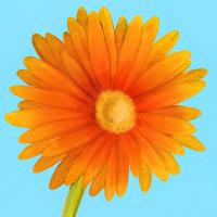 Flower Art 1 #91728 Flower Art 1 #91728
